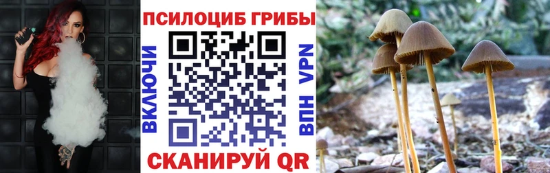 Галлюциногенные грибы мухоморы  наркота  Нолинск 